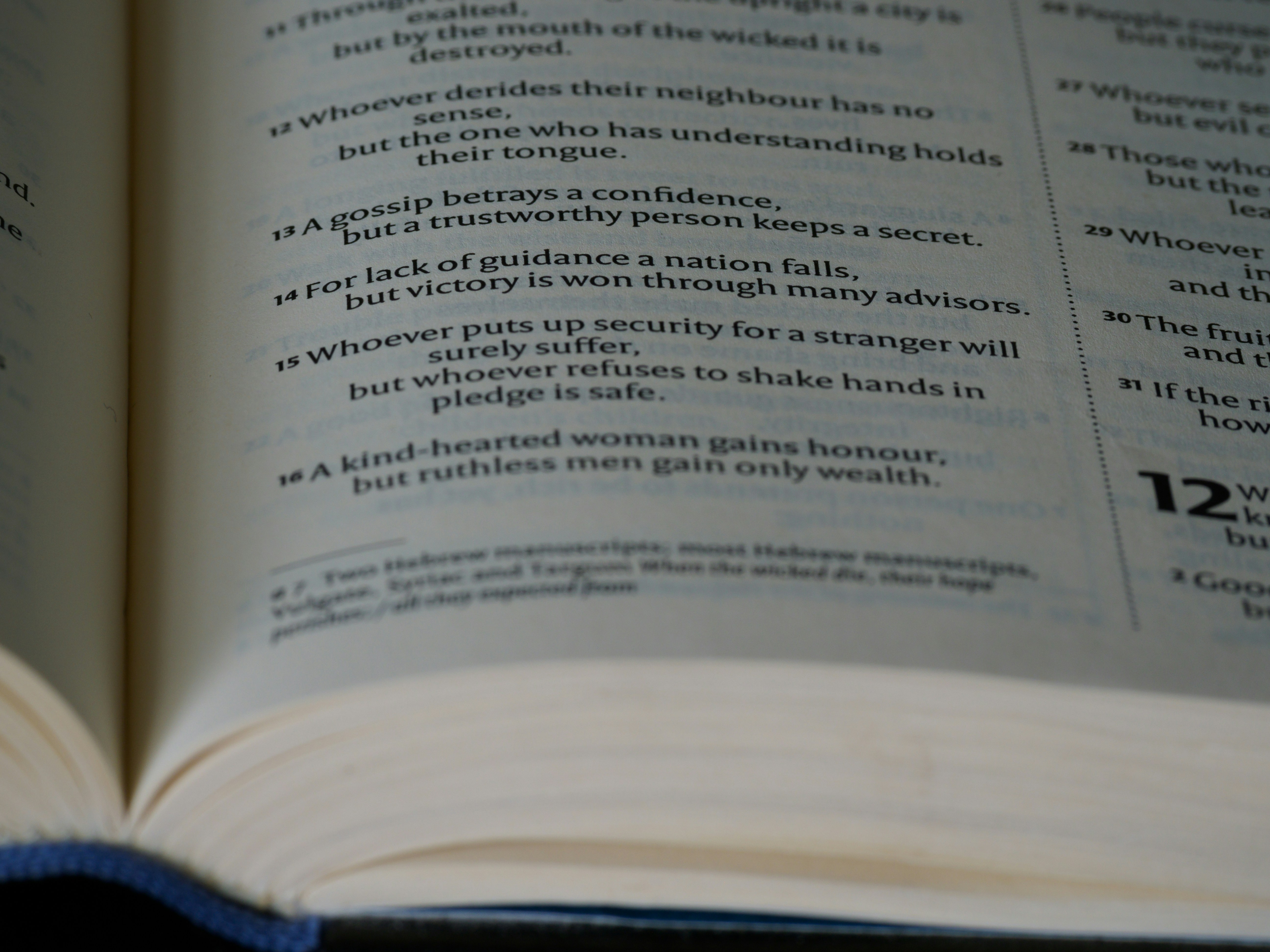 専門書が並んだ本棚の写真