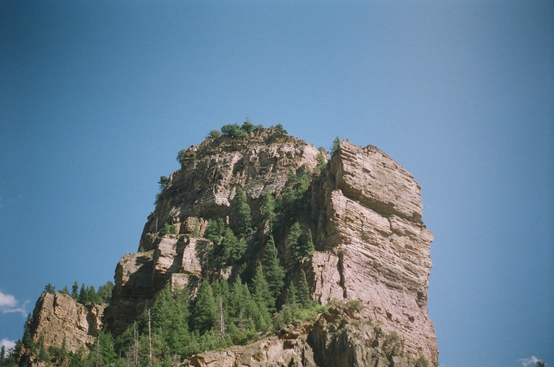 世界地図の前で、楽しそうに旅行の計画を立てているカップルの様子