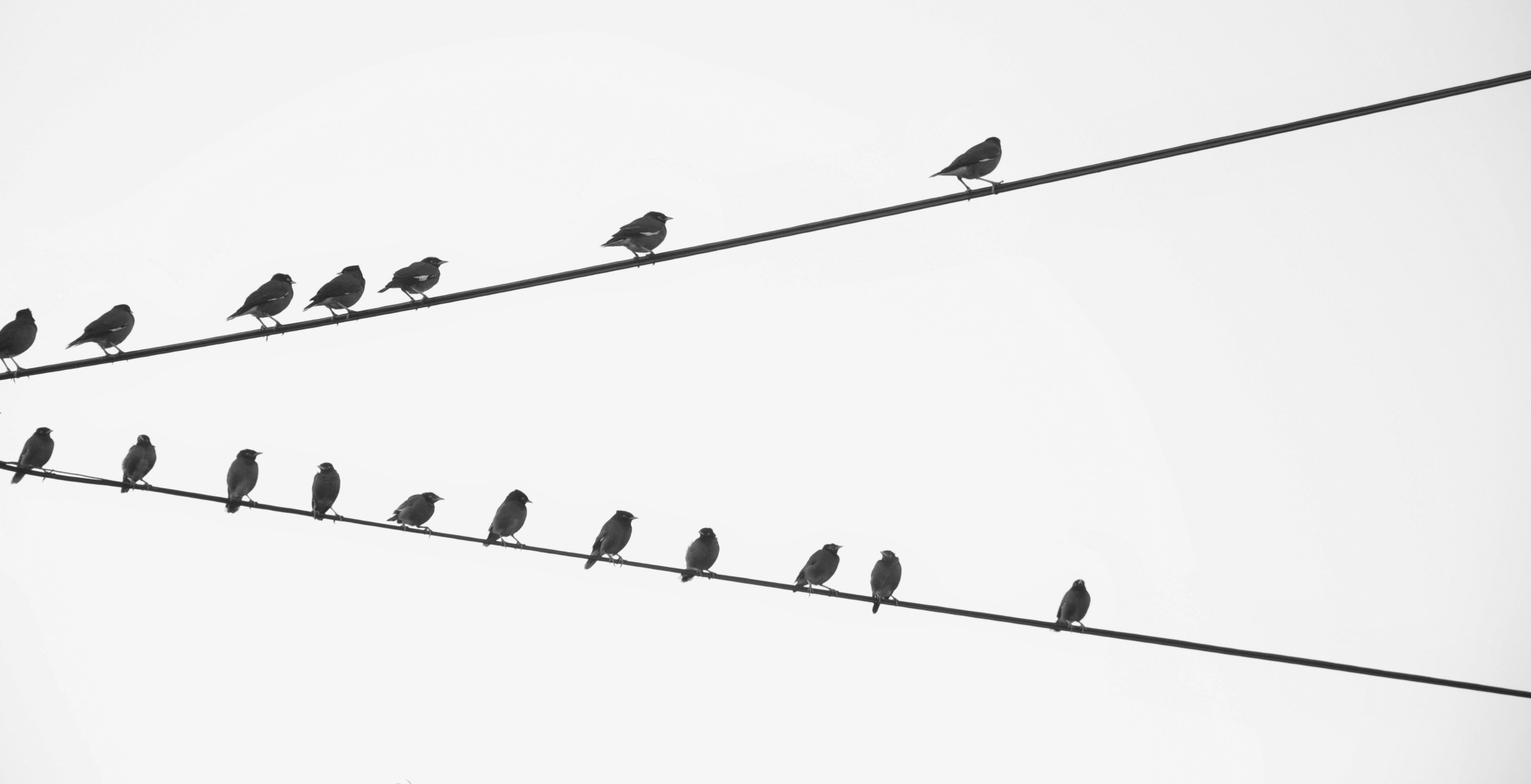 自宅の書斎で、合格六法を片手にオンラインセミナーを受講している様子