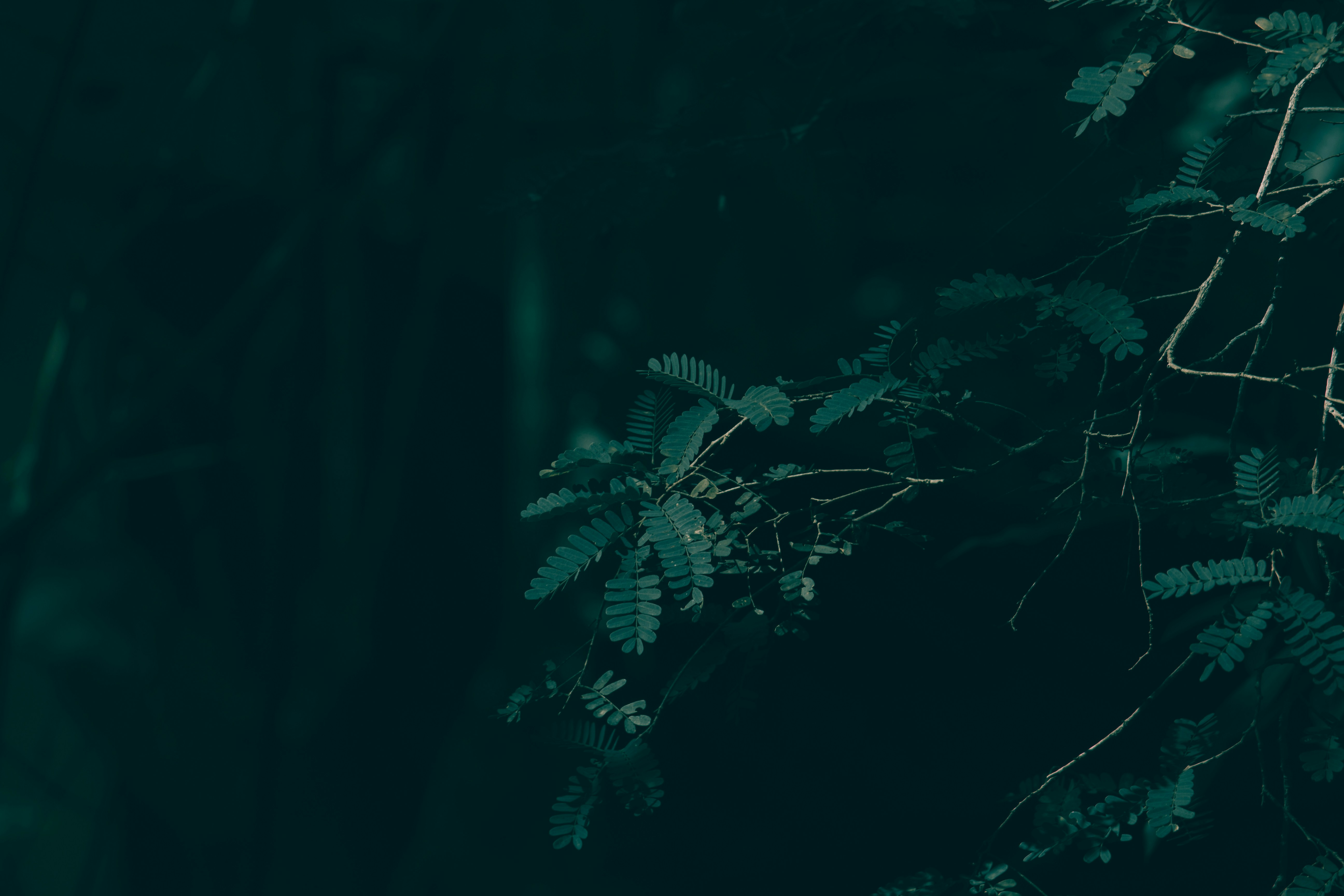 自宅のPCの前で笑顔で作業している人物