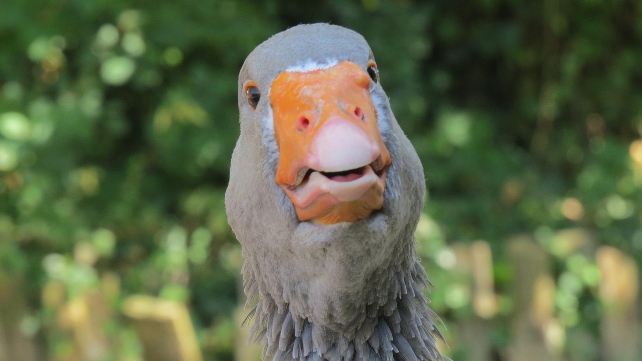 笑顔で確定申告の手続きを終え、晴れやかな表情で税務署から出てくる人