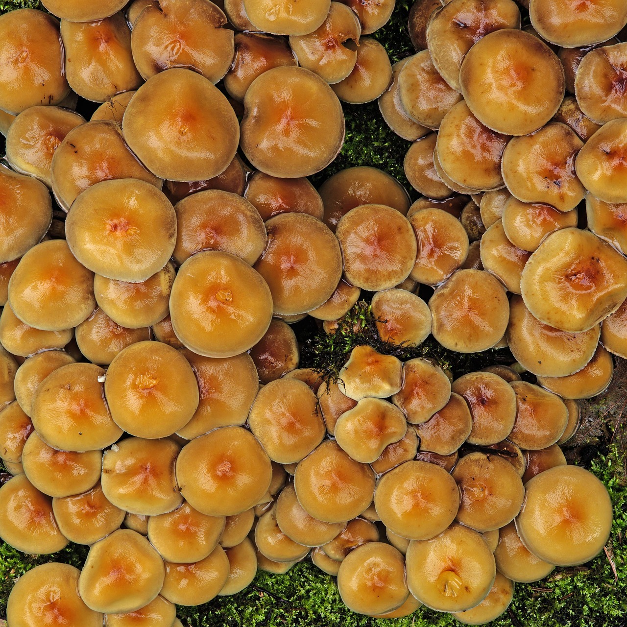 ファンドマネージャーが複数のモニターを見ながら分析している様子